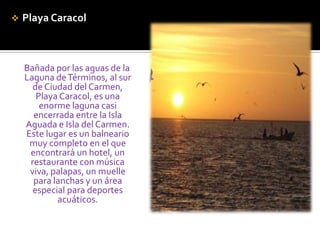 Playa CaracolBañada por las aguas de la Laguna de Términos, al sur de Ciudad del Carmen, Playa Caracol, es una enorme laguna casi encerrada entre la Isla Aguada e Isla del Carmen. Este lugar es un balneario muy completo en el que encontrará un hotel, un restaurante con música viva, palapas, un muelle para lanchas y un área especial para deportes acuáticos. 