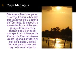 Playa Maniagua Esta es una hermosa playa de oleaje tranquilo bañada por las aguas de la Laguna de Términos. Se encuentra en medio de un pintoresco paisaje de cocoteros y densas poblaciones de mangle. Los habitantes de Ciudad del Carmen vienen a este lugar a disfrutar del sol, del paisaje y de los lugares para comer que hay en los alrededores.