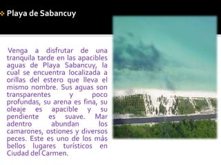 Playa de SabancuyVenga a disfrutar de una tranquila tarde en las apacibles aguas de Playa Sabancuy, la cual se encuentra localizada a orillas del estero que lleva el mismo nombre. Sus aguas son transparentes y poco profundas, su arena es fina, su oleaje es apacible y su pendiente es suave. Mar adentro abundan los camarones, ostiones y diversos peces. Este es uno de los más bellos lugares turísticos en Ciudad del Carmen. 