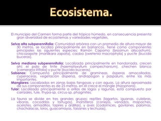 El municipio del Carmen forma parte del trópico húmedo, en consecuencia presenta gran diversidad de ecosistemas y variedades vegetales.  Selva alta subperennifolia: Comunidad arbórea con un promedio de altura mayor de 30 metros, se localiza principalmente en barrancos. Tiene como componentes principales las siguientes especies: Ramón Capomo (brosimun aliscastrum), chicozapote (manilkara zapata), caoba (swetenia macrophyla) y pucte (bucida buceras).  Selva mediana subperennifolia: Localizada principalmente en hondonada, crecen ahí; el palo de tinte (haematoxyllum campechanium), chechen blanco (cameraria litifolia) y pucte (bucida buceras).  Sabanas: Compuesta principalmente de gramineas, ásperas amacolladas, cyperaceas, vegetación dispersa, andropogon y paspalum, entre las más importantes.  Manglares: Localizados en zonas bajas fangosas y con aguas. La altura aproximada de sus componentes es de 25 metros, en él crece el mangle (rhizophora).  Tular: Localizado principalmente a orillas de lagos y lagunas, está compuesto por carrizales, tule, thypa-sp, circus-sp, phagmites.  La fauna se divide en tres grandes grupos: reptiles (lagartos, iguanas, culebras, víboras, cocodrilos y tortugas), mamíferos (conejos, venados, mapaches, ocelotes, armadillos, tapires y ardillas), y aves (codornices, gavilanes, palomas, chachalacas, loros, guacamayas, faisanes y lechuzas).  Ecosistema.