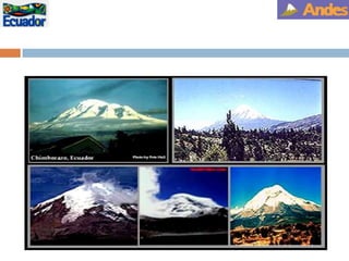 MUSEO DE LA CONCEPCIÓN