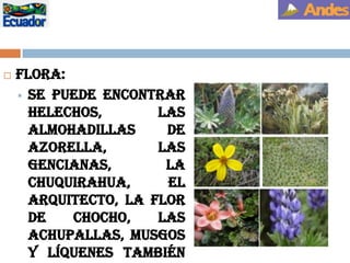 El nombre- este volcán- etimologías: “Dios del hielo” y “Viento sagrado de la luna”, fue adorado x puruhaes.SIMON BOLIVAR:“Mi Delirio Sobre El Chimborazo”