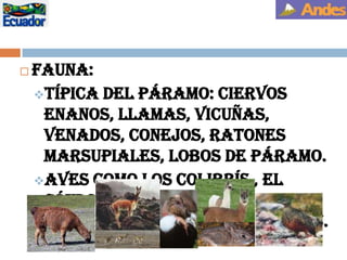 DATOS: 1802- Barón, A. Humboldt, junto con Bonpland y el ecuatoriano Carlos Montufar, subieron hasta los 5.875m. Fueron los primeros en tratar de llegar a la cumbre.1880- Edward Whymper con los hermanos Louis y Jean-Antoine,1ros en alcanzar la Cumbre.Actividad volcánica: Ultima erupción: 11.000 años