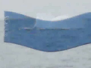 No hay periodos eruptivos.