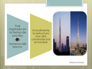 Fue 
inspirado en 
la forma de 
una flor. 
Hymenocallis 
blanca 
Actualmente 
la estructura 
mas alta 
construida por 
el hombre 
Turismo en Dubai 
4 
 