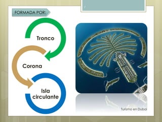 Turismo en Dubai 
7 
FORMADA POR: 
Tronco 
Corona 
Isla 
circulante 
 