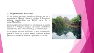 El parque nacional Machalilla
Es un parque nacional, ubicado en la costa sur de la
provincia de Manabí. Toma su nombre de la antigua
cultura precolombina que habitó parte de la
zona, Machalilla.
Entra sus principales atractivos turísticos se encuentra
la isla de la Plata y la playa de los Frailes. La altura de
la zona varía de 1 a 1707 msnm, y el clima es seco.
En el parque nacional Machalilla existen cuatro zonas:
matorral desértico tropical, monte espinoso tropical,
bosque seco tropical y monte espinoso premontano.
 