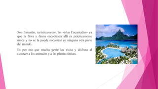 Son llamadas, turísticamente, las «islas Encantadas» ya
que la flora y fauna encontrada allí es prácticamente
única y no se la puede encontrar en ninguna otra parte
del mundo.
Es por eso que mucha gente las visita y disfruta al
conocer a los animales y a las plantas únicas.
 