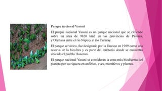 Parque nacional Yasuní
El parque nacional Yasuní es un parque nacional que se extiende
sobre un área de 9820 km2 en las provincias de Pastaza,
y Orellana entre el río Napo y el río Curaray.
El parque selvático, fue designado por la Unesco en 1989 como una
reserva de la biosfera y es parte del territorio donde se encuentra
ubicado el pueblo Huaorani.
El parque nacional Yasuní se consideran la zona más biodiversa del
planeta por su riqueza en anfibios, aves, mamíferos y plantas.
 