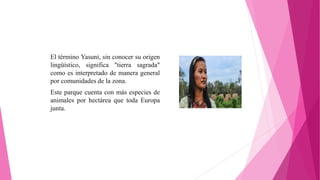El término Yasuní, sin conocer su origen
lingüístico, significa "tierra sagrada"
como es interpretado de manera general
por comunidades de la zona.
Este parque cuenta con más especies de
animales por hectárea que toda Europa
junta.
 