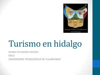 Turismo en hidalgo
Anabel Fernández Sánchez
DN12
UNIVERSIDAD TECNOLÓGICA DE TULANCINGO
 