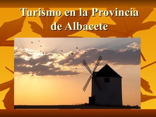 Turismo en la Provincia
     de Albacete
 