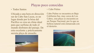 Playas poco conocidas
• Todos Santos
Ubicada a una hora en dirección
sur de Cabo San Lucas, es un
lugar donde por la brisa del
Pacífico se crea un clima ideal
para que surfistas de todo el
mundo disfruten del paisaje. De
esta excelente y prácticamente
secreta playa de ensueño.
• Cabo Pulmo
Cabo Pulmo se encuentra en Baja
California Sur, muy cerca de Los
Cabos, esta playa se encuentra en
un Parque Nacional, por lo que su
belleza natural está enmarcada con
el desierto.
 