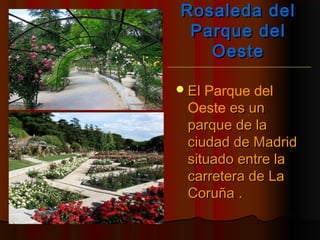 Rosaleda delRosaleda del
Parque delParque del
OesteOeste
ElEl Parque del
Oeste es unes un
parque de laparque de la
ciudad de Madridciudad de Madrid
situado entre lasituado entre la
carretera de Lacarretera de La
Coruña .Coruña .
 