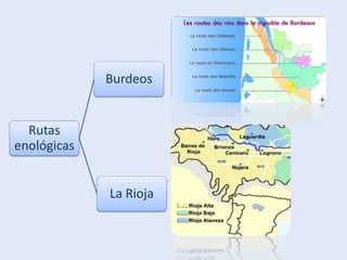 Rutas
enológicas
Burdeos
La Rioja
 