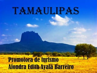 Tamaulipas
Promotora de turismo
Alondra Edith Ayala Barreiro
 