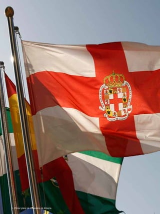 6




    > Primer plano de la bandera de Almería.
 