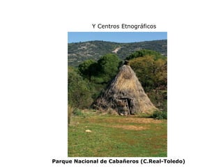 Y Centros Etnográficos




Parque Nacional de Cabañeros (C.Real-Toledo)
 