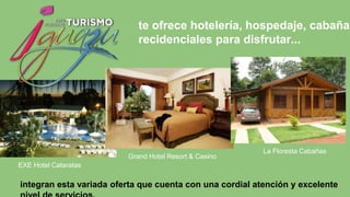 te ofrece hotelería, hospedaje, cabañas
recidenciales para disfrutar...
EXE Hotel Cataratas
Grand Hotel Resort & Casino
La Floresta Cabañas
integran esta variada oferta que cuenta con una cordial atención y excelente
 