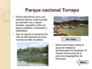 Parque nacional Turrapo
• Podría describirse como una
extensa sabana verde surcada
por grandes ríos y playas
doradas, pequeños caños de
aguas cristalinas, morichales y
saladillales.
• Aquí se calcula la presencia de
más de 320 especies de aves,
muchas de ellas acuáticas.
• Dentro del Parque habita el
grupo de indígenas
seminómadas de Guahibos. El
Tuparro forma parte de la
provincia biogeográfica de
Orinoquía.
Ver video
Menú
 