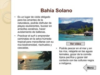 Bahía Solano
• Es un lugar de visita obligado
para los amantes de la
naturaleza, podrás disfrutar de
playas exuberantes, bucear en
arrecifes coralinos, hacer
avistamiento de ballenas.
• Practicar el surf o emprender
caminatas en la selva húmeda
tropical para maravillarse con su
rica biodiversidad, riachuelos y
cascadas. • Podrás pescar en el mar y en
los ríos, relajarte en las aguas
termales, gozar de la comida
típica pacífica y gozar del
contacto con las culturas negra
e indígena.
Ver video
Menú
 