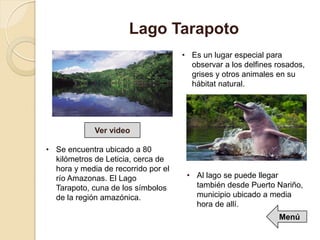 • Es un lugar especial para
observar a los delfines rosados,
grises y otros animales en su
hábitat natural.
Lago Tarapoto
• Al lago se puede llegar
también desde Puerto Nariño,
municipio ubicado a media
hora de allí.
Ver video
• Se encuentra ubicado a 80
kilómetros de Leticia, cerca de
hora y media de recorrido por el
río Amazonas. El Lago
Tarapoto, cuna de los símbolos
de la región amazónica.
Menú
 