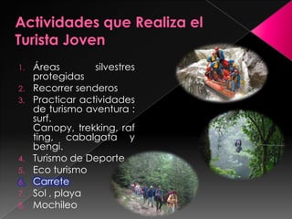 Voluntariado                                           3%