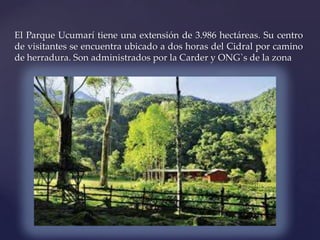 El Parque Ucumarí tiene una extensión de 3.986 hectáreas. Su centro
de visitantes se encuentra ubicado a dos horas del Cidral por camino
de herradura. Son administrados por la Carder y ONG`s de la zona
 