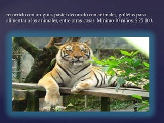 recorrido con un guía, pastel decorado con animales, galletas para
alimentar a los animales, entre otras cosas. Mínimo 10 niños, $ 25 000.
 