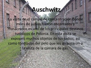 Auschwitz
La visita de el campo de concentración donde
      miles de judíos fueron encerrados y
masacrados es uno de los principales destinos
     turísticos de Polonia. En esta visita se
  exponen muchos objetos de los judíos, así
como toneladas del pelo que les arrancaron o
          la visita de la cámara de gas.
 
