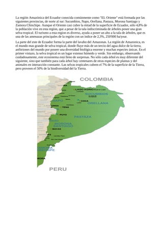 La región Amazónica del Ecuador conocida comúnmente como "EL Oriente" está formada por las
siguientes provincias, de norte al sur: Sucumbios, Napo, Orellana, Pastaza, Morona Santiago y
Zamora Chinchipe. Aunque el Oriente casi cubre la mitad de la superficie de Ecuador, sólo 4,8% de
la población vive en esta region, que a pesar de la tala indiscriminada de árboles posee una gran
selva tropical. El turismo a esta region es diverso, ayuda a poner un alto a la tala de árboles, que es
una de las amenazas principales de la región con un índice de 2,3%, 250'000 ha/year.
La parte del este de Ecuador forma la parte del lavabo del Amazonas. La región de Amazonica, es
el mundo mas grande de selva tropical, donde fluye más de un tercio del agua dulce de la tierra,
anfitriones del mundo por poseer una diversidad biológica enorme y muchas especies únicas. En el
primer vistazo, la selva tropical es un lugar extenso húmedo y verde. Sin embargo, observando
cuidadosamente, este ecosistema está lleno de sorpresas. No sólo cada árbol es muy diferente del
siguiente, sino que también para cada árbol hay centenares de otras especies de plantas y del
animales en interacción constante. Las selvas tropicales cubren el 7% de la superficie de la Tierra,
pero proveen el 50% de la biodiversidad del la Tierra.
 