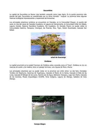 Sucumbíos

La capital de Sucumbíos es Nueva Loja también conocida como Lago Agrio. Es la quinta provincia más
grande del país. Sucumbíos es caracterizado por su clima húmedo - tropical. La provincia tiene algunas
reservas ecológicas impresionantes y expansivas del Amazonas.

Los principales atractivos turísticos se encuentran en Cascales, en la Comunidad Shayari, el puente del
suizo, la ruta del cacao de Cascales Cuyabeno, la Laguna de Caimancocha, la Comunidad Cofán de Zábalo,
Laguna Grande, Reserva Faunística Cuyabeno, Río Cuyabeno. En Gonzalo Pizarro se puede visitar la
Comunidades Dashino, Panayacu, Sinangué, las Pizarras, Ríos, Tigre, Volcán Reventador, Cascada San
Rafael.




                                                         arbol de Guarango

                                                Orellana

La capital provincial es la ciudad Francisco de Orellana antes conocida como el "Coca". Orellana es rico en
reservas de aceite y de madera, tiene un paisaje hermoso; una riqueza de flora y fauna.

Los principales atractivos que se puede visitar en la provincia son entre otros: La isla Sani, Complejo
Turístico de Pasohurco, Cavernas de Tugshiyacu, Cascada el Manto de la Dama, Cascada el Nido de las
Loras, Cascada El Refugio de los Loros, Rancho ojo de Agua, Balneario Yanayacu, Lago San Pedro, Cascada
de las Conchas, Museo Arqueológico CICAME, Feria Indígena, Laguna de Añango, Saladero de Aves
Añango.




                                  Campo Alegre
 