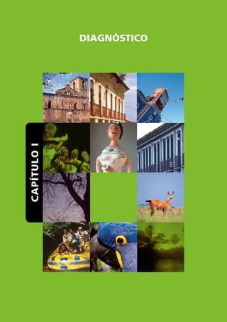 capÍtUlO I   dIagnóStIcO
 