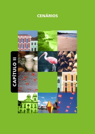 capÍtUlO II   cenÁRIOS
 