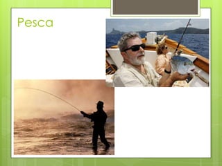 Pesca
 