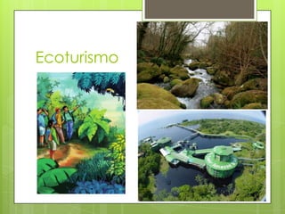 Ecoturismo
 
