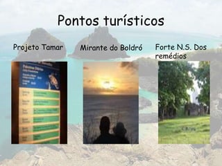 Pontos turísticos
Projeto Tamar Mirante do Boldró Forte N.S. Dos
remédios
 
