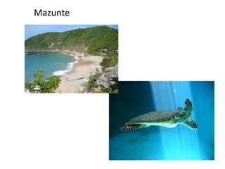 Mazunte
 