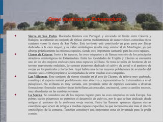 Otros destinos en Extremadura


   Sierra de San Pedro. Haciendo frontera con Portugal, y sirviendo de límite entre Cáceres y
    Badajoz, se extiende un conjunto de típicas sierras mediterráneas de suave relieve, conocidas en su
    conjunto como la sierra de San Pedro. Este territorio está constituido en gran parte por fincas
    dedicadas a la caza mayor, y su valor ornitológico resulta muy similar al de Monfragüe, ya que
    alberga prácticamente las mismas especies, siendo otro importante santuario para las aves rapaces,
   Llanos de Cáceres. Junto a las rapaces, las aves esteparias y de llanura son otro de los principales
    atractivos ornitológicos de Extremadura. Entre las localidades de Trujillo y Cáceres se encuentra
    uno de los dos mejores enclaves para estas especies del llano. Se trata de miles de hectáreas de un
    terreno suavemente ondulado, de sustrato pizarroso, dedicado al cultivo de cereal o al pastoreo de
    ovejas en los pastizales y barbechos. Aquí habita una de las mayores poblaciones de avutardas del
    mundo (unos 2.000ejemplares), acompañadas de otras muchas aves esteparias.
   Las Villuercas. Este conjunto de sierras situadas en el este de Cáceres, de relieve muy quebrado,
    constituye el espacio natural posiblemente más atractivo y representativo de Extremadura a nivel
    paisajístico. Su avifauna es muy variada, con presencia tanto de especies asociadas a diversas
    formaciones forestales mediterráneas (rebollares,alcornocales, encinares), como a cantiles rocosos,
    muy abundantes en las cumbres serranas
   La Serena. Se considera uno de los mejores lugares para las aves esteparias en toda Europa. Sus
    pobres suelos pizarrosos no permiten el desarrollo de cultivos, por lo que se han dedicado desde
    antiguo al pastoreo de la autóctona oveja merina. Entre las llanuras aparecen algunas sierras
    cuarcíticas que sirven de refugio a muchas rapaces rupícolas, lo que incrementa aún más el interés
    ornitológico de la comarca. También constituye una importante zona de invernada para la grulla
    común.
 