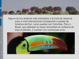 Observar aves a nivel mundial.


Alguno de los destinos más solicitados a la hora de observar
     aves a nivel internacional corresponde a países de
     América del Sur, como pueden ser Colombia, Perú o
     Brasil, que albergan la mayor diversidad en avifauna de
     todo el planeta, y cuentan con numerosas aves
     endémicas.
 