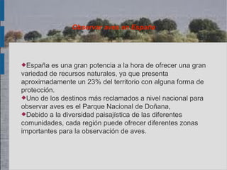 Observar aves en España




España   es una gran potencia a la hora de ofrecer una gran
variedad de recursos naturales, ya que presenta
aproximadamente un 23% del territorio con alguna forma de
protección.
Uno de los destinos más reclamados a nivel nacional para
observar aves es el Parque Nacional de Doñana,
Debido a la diversidad paisajística de las diferentes
comunidades, cada región puede ofrecer diferentes zonas
importantes para la observación de aves.
 