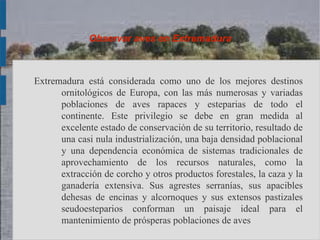 Observar aves en Extremadura



Extremadura está considerada como uno de los mejores destinos
      ornitológicos de Europa, con las más numerosas y variadas
      poblaciones de aves rapaces y esteparias de todo el
      continente. Este privilegio se debe en gran medida al
      excelente estado de conservación de su territorio, resultado de
      una casi nula industrialización, una baja densidad poblacional
      y una dependencia económica de sistemas tradicionales de
      aprovechamiento de los recursos naturales, como la
      extracción de corcho y otros productos forestales, la caza y la
      ganadería extensiva. Sus agrestes serranías, sus apacibles
      dehesas de encinas y alcornoques y sus extensos pastizales
      seudoesteparios conforman un paisaje ideal para el
      mantenimiento de prósperas poblaciones de aves
 