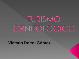 Victoria Dacal Gómez

 