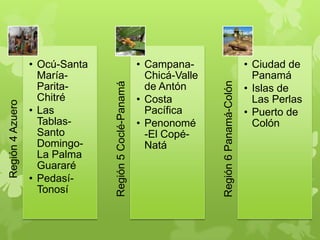 Región4Azuero
• Ocú-Santa
María-
Parita-
Chitré
• Las
Tablas-
Santo
Domingo-
La Palma
Guararé
• Pedasí-
Tonosí
Región5Coclé-Panamá
• Campana-
Chicá-Valle
de Antón
• Costa
Pacífica
• Penonomé
-El Copé-
Natá
Región6Panamá-Colón
• Ciudad de
Panamá
• Islas de
Las Perlas
• Puerto de
Colón
 