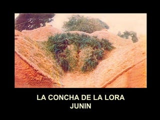 LA CONCHA DE LA LORA
JUNIN

 