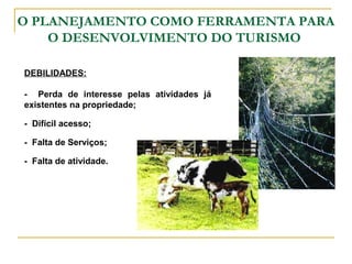 O PLANEJAMENTO COMO FERRAMENTA PARA
O DESENVOLVIMENTO DO TURISMO
DEBILIDADES:
- Perda de interesse pelas atividades já
existentes na propriedade;
- Difícil acesso;
- Falta de Serviços;
- Falta de atividade.
 
