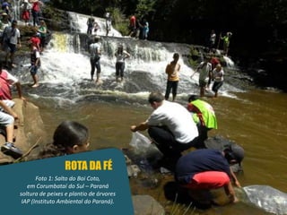 ROTA DA FÉ Foto 1: Salto do Boi Coto,  em Corumbataí do Sul – Paraná soltura de peixes e plantio de árvores IAP (Instituto Ambiental do Paraná). 