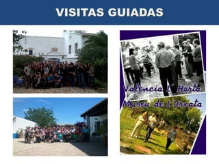 VISITAS GUIADAS

 