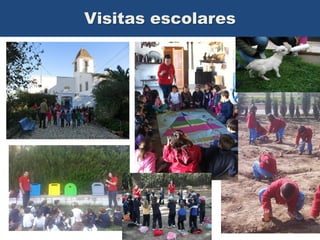 Visitas escolares

 