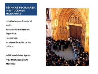 TÉCNICAS PECULIARES,
INSTITUCIONES
MILENARIAS
•el caballo para trabajar el

suelo,
•empleo de fertilizantes
orgánicos,
•los surcos,
•la diversificación de los

cultivos.

Tribunal de las Aguas
La Real Acequia de
Moncada

 